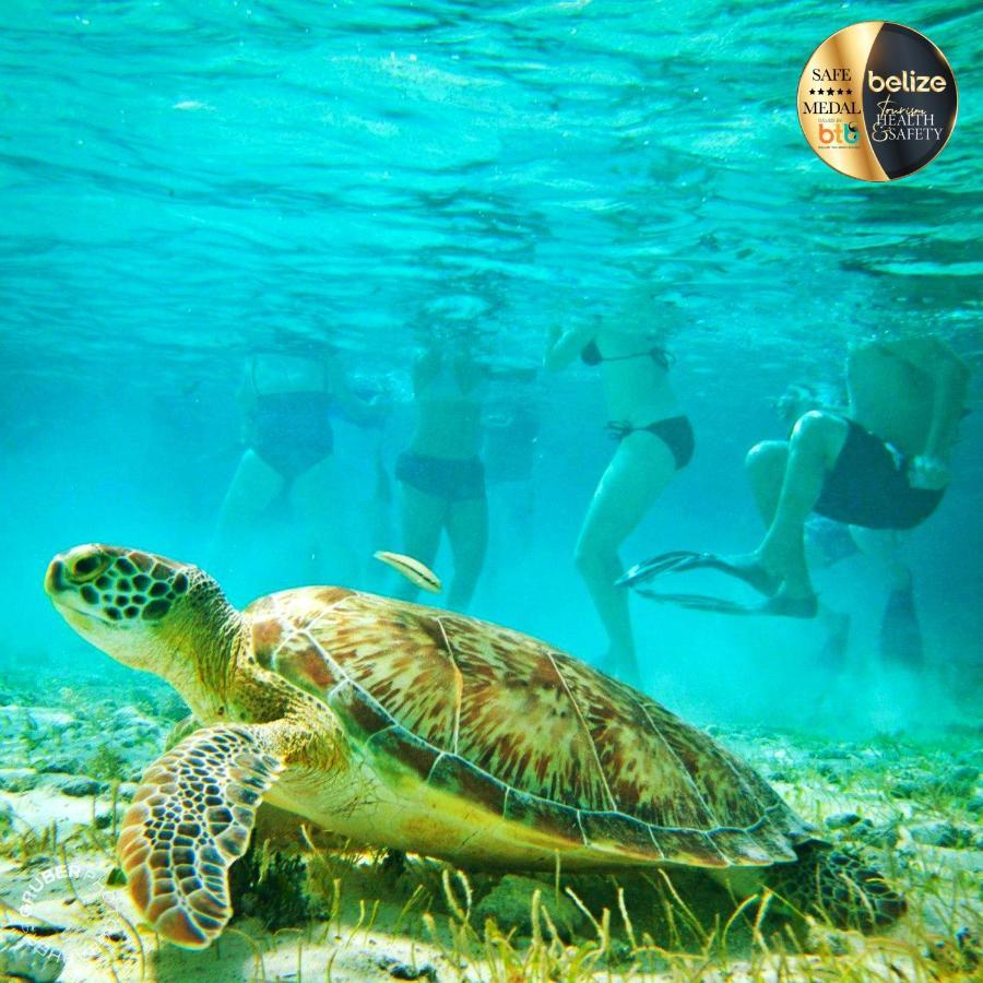 סן פדרו Portofino Beach Resort-An Authentic Island Escape! מראה חיצוני תמונה